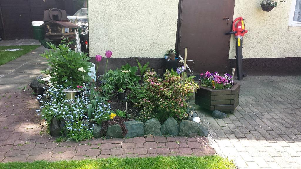Ferienwohnung Cziesla Bad Sachsa Eksteriør bilde